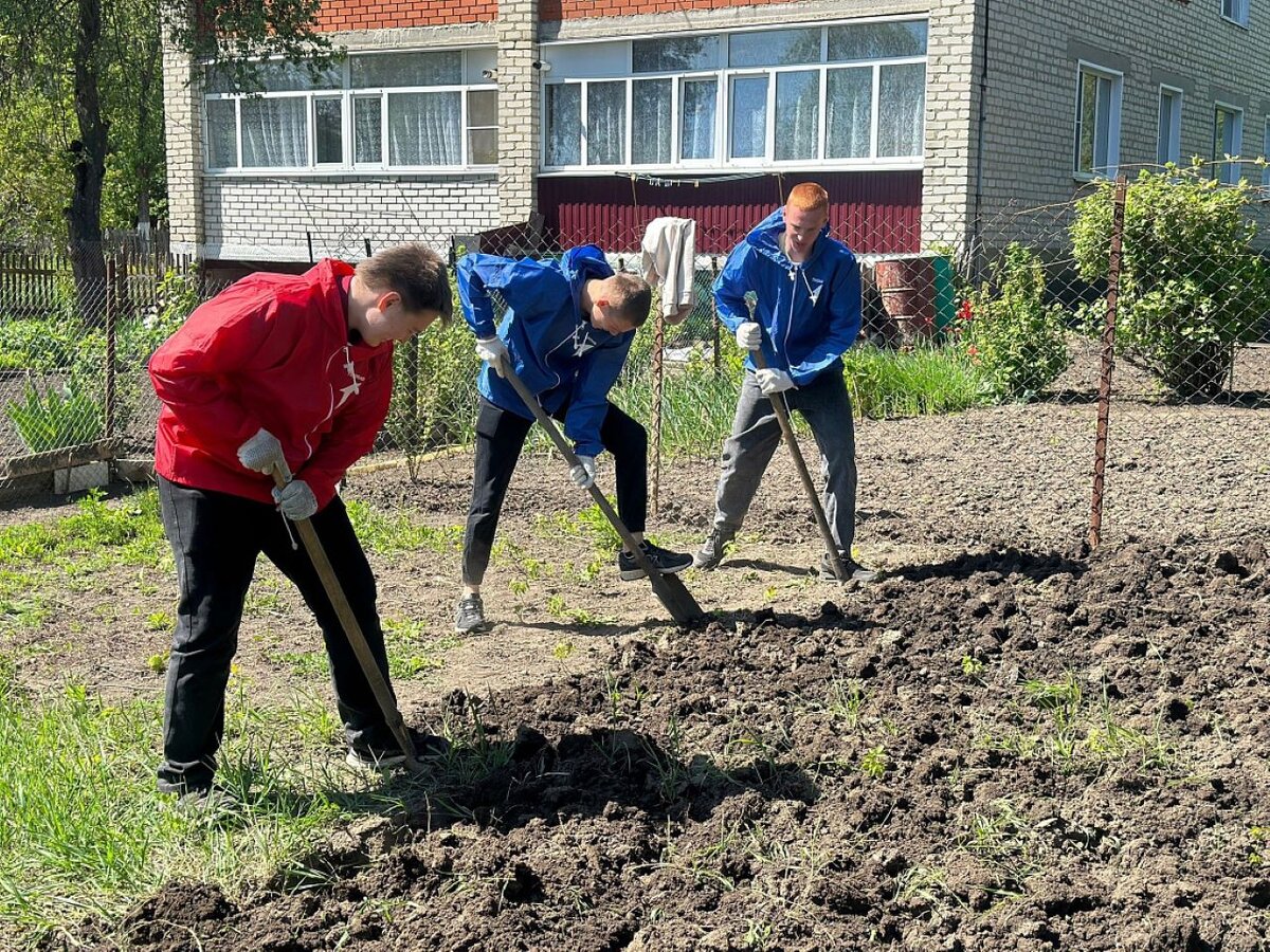 В Курской области тимуровцы оказывают помощь семьям участников СВО | Вести- Курск | Дзен