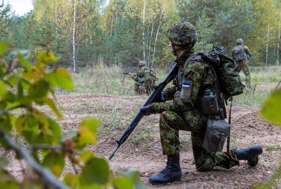    Вооруженные силы Эстонии