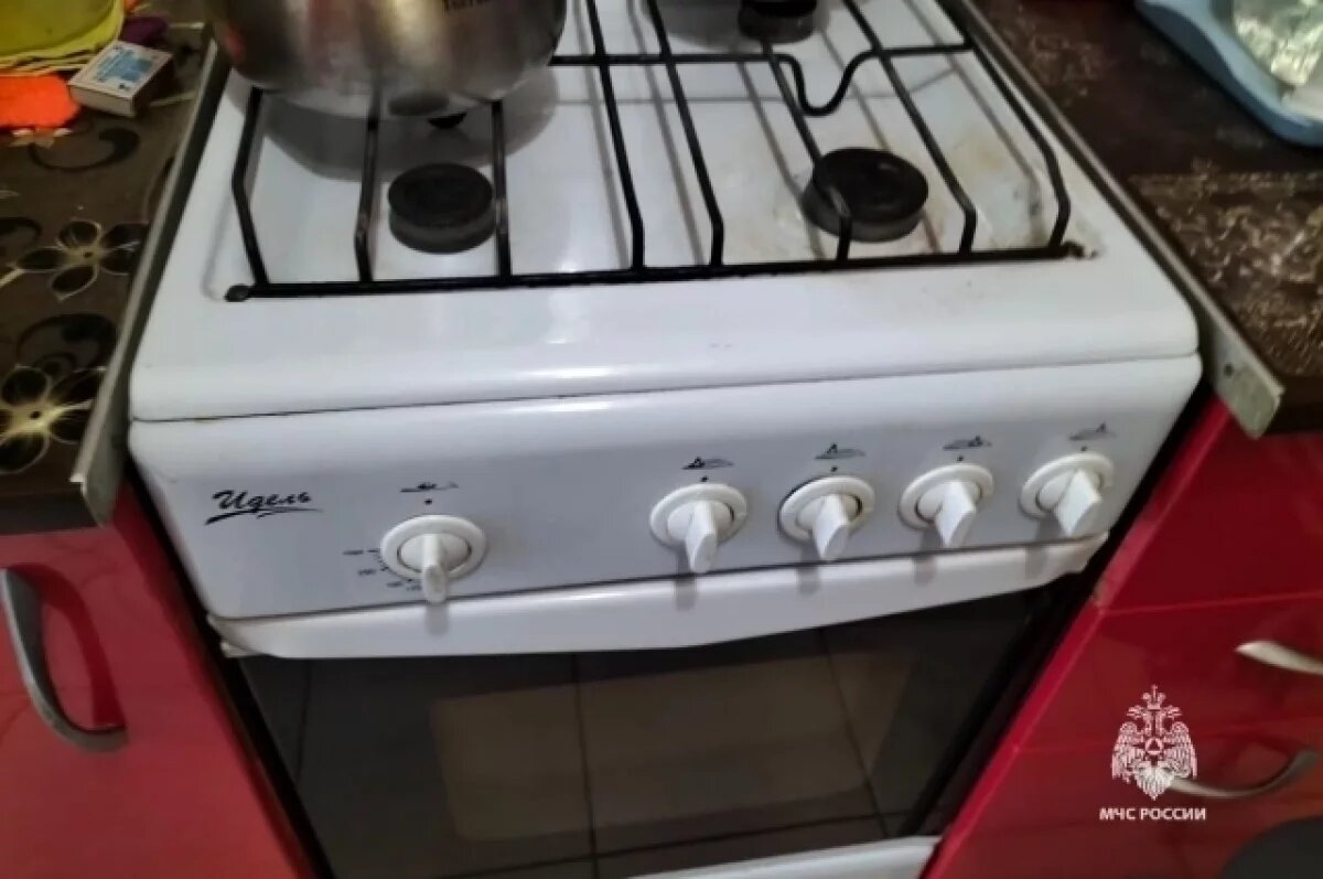    Бабушка включила духовку, чтобы внуки не замерзли, а в итоге погибла.