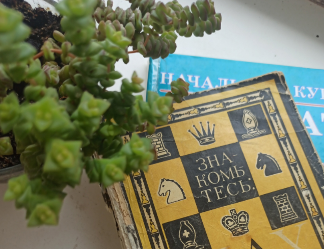 Добавьте описание