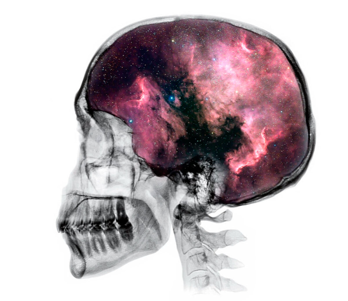 Мы стремимся глубже понять роль и место жизни и сознания во Вселенной