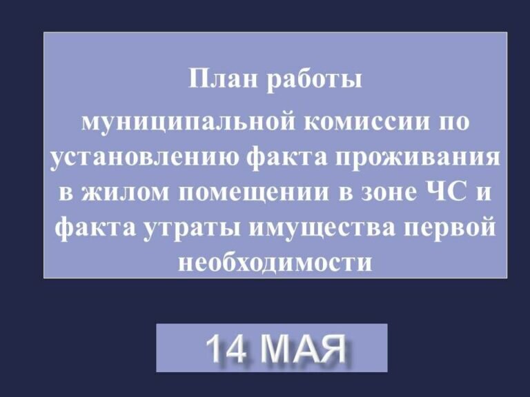   График работы комиссии по установлению факта утраты имущества на 14 мая в Оренбурге Кристина Просвиркина