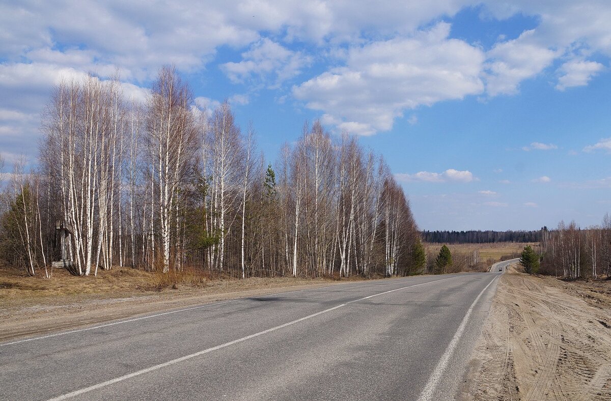 Один шаг до обрыва. Часть 14 | Рассказы из шкатулки с секретом | Дзен