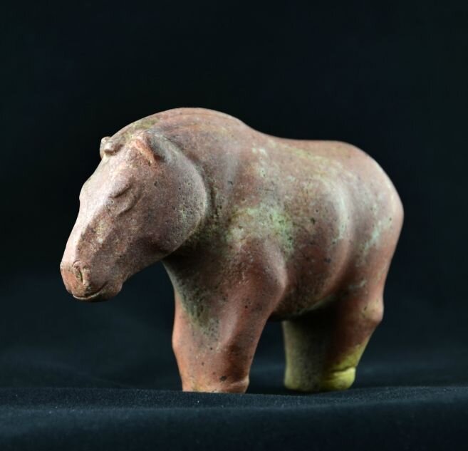 Башҡортостандың Әбйәлил районында табылған боронғо ат һыны - башҡорт атының ата-бабаһы.