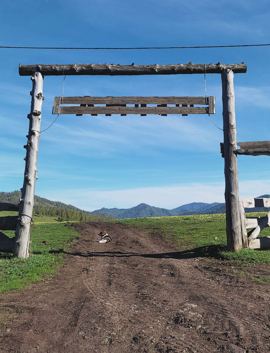 Выезд с фермы под охраной