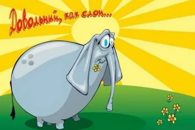 Нет ничего прекрасней на земле чем жить и просто радоваться жизни. Довольный слоник. Доволен как слон мем. Слон под водопадом. Довольный слон.