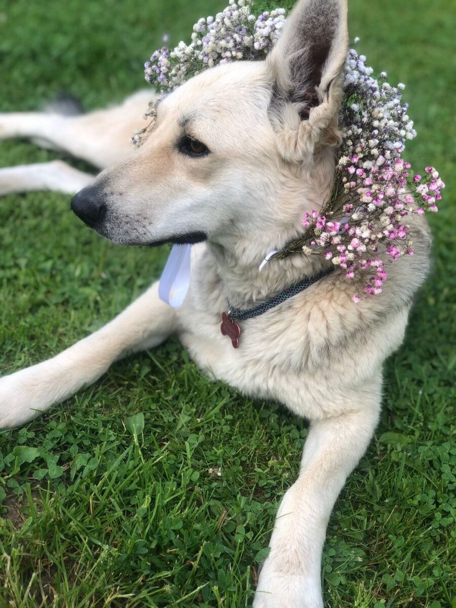 Фото- собственность канала