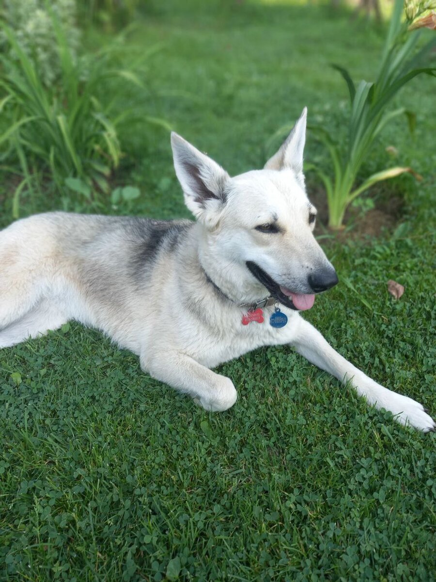 Фото- собственность канала