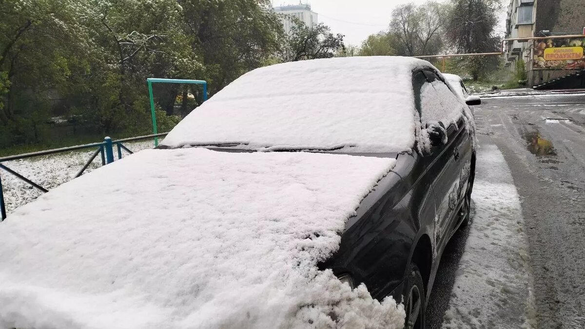     Источник: kursdela.biz