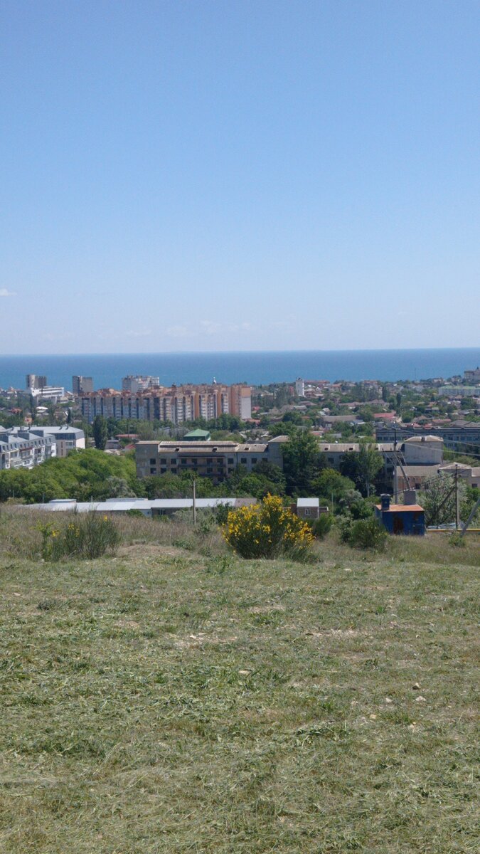 После покоса так пахнет 👍