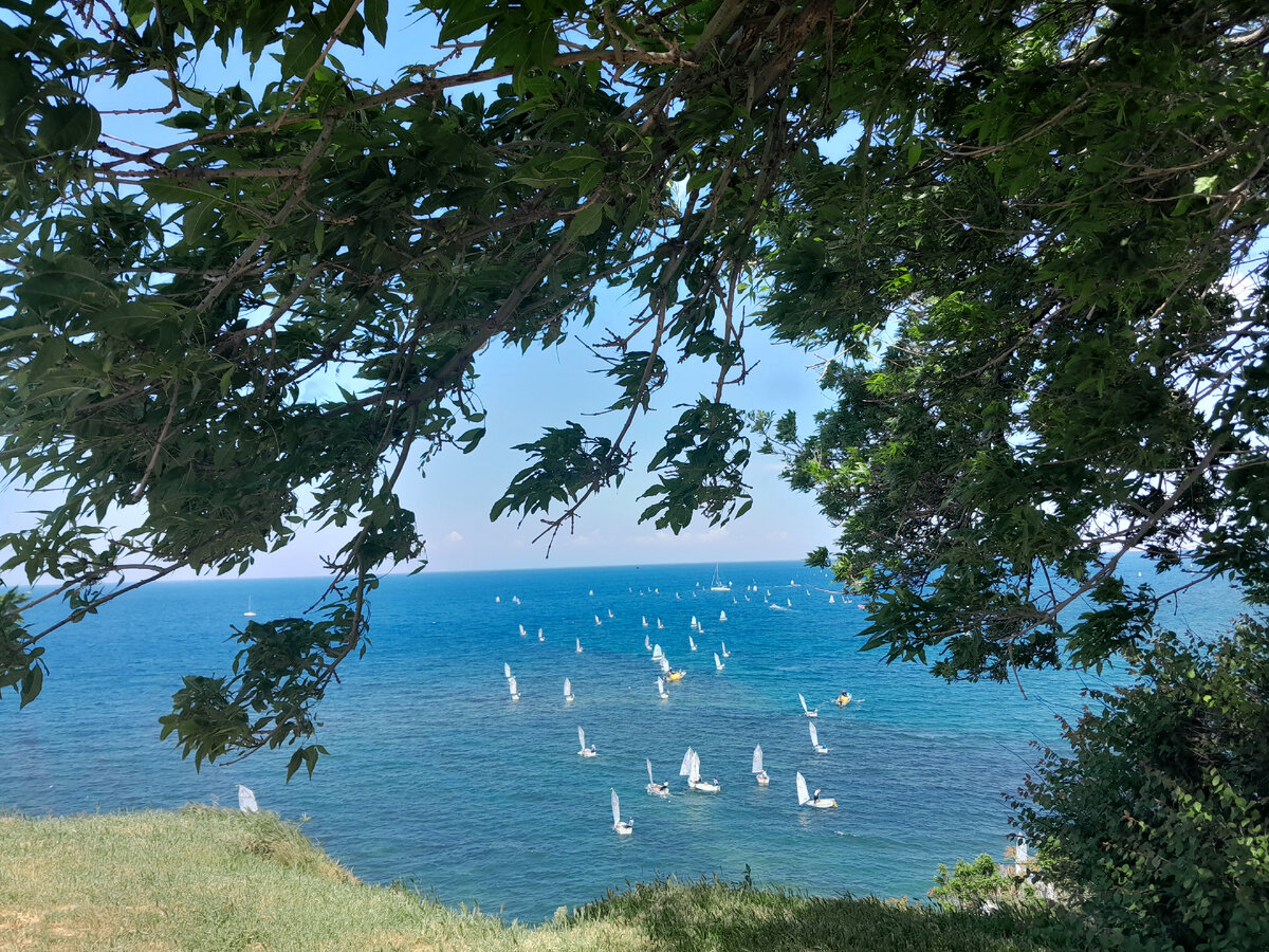 Фото автора