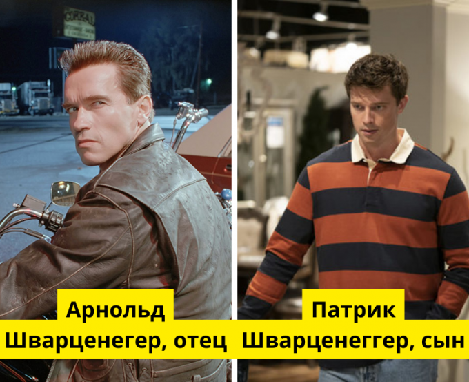 «Терминатор 2: Судный день», Carolco Pictures / «Лестница», Annapurna Television