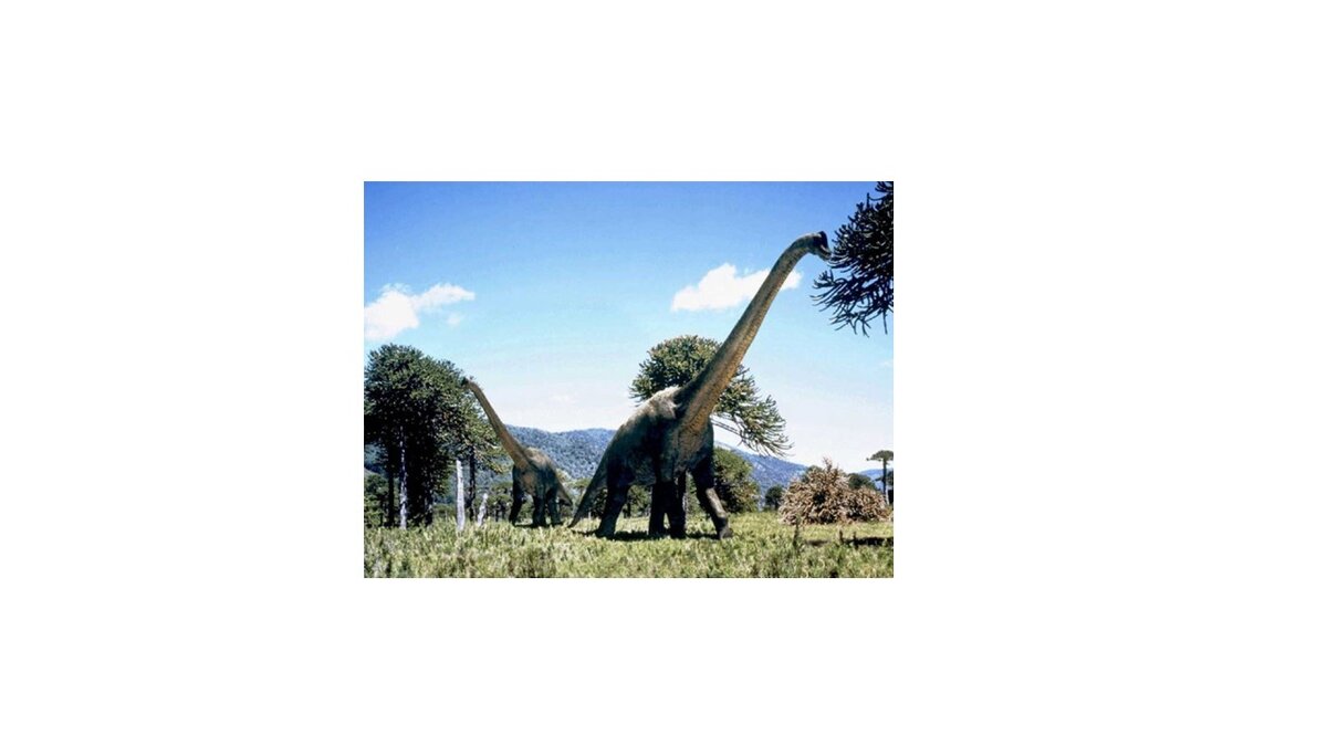 Брахиозавр (Жираффотитан)