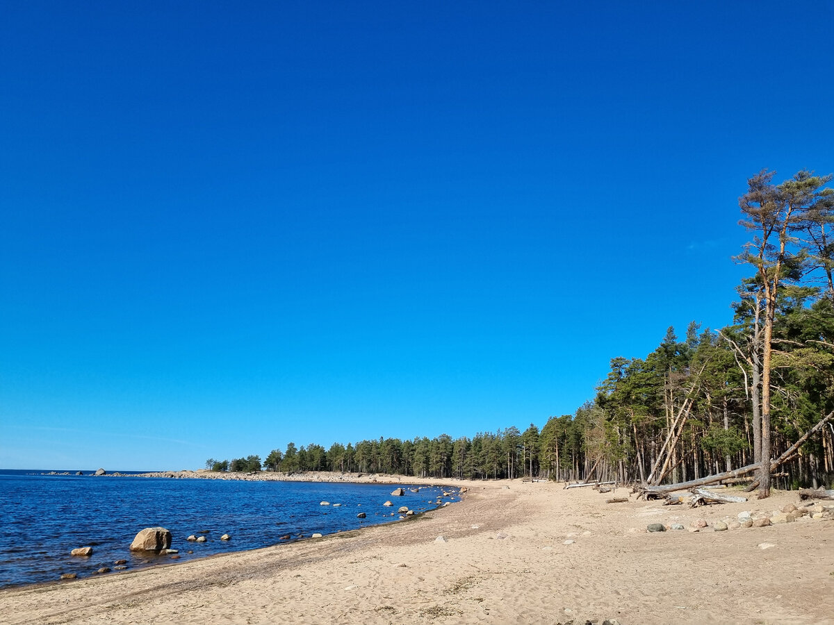 Мыс Флотский