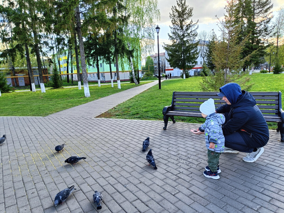 Пошли поздороваться с голубями