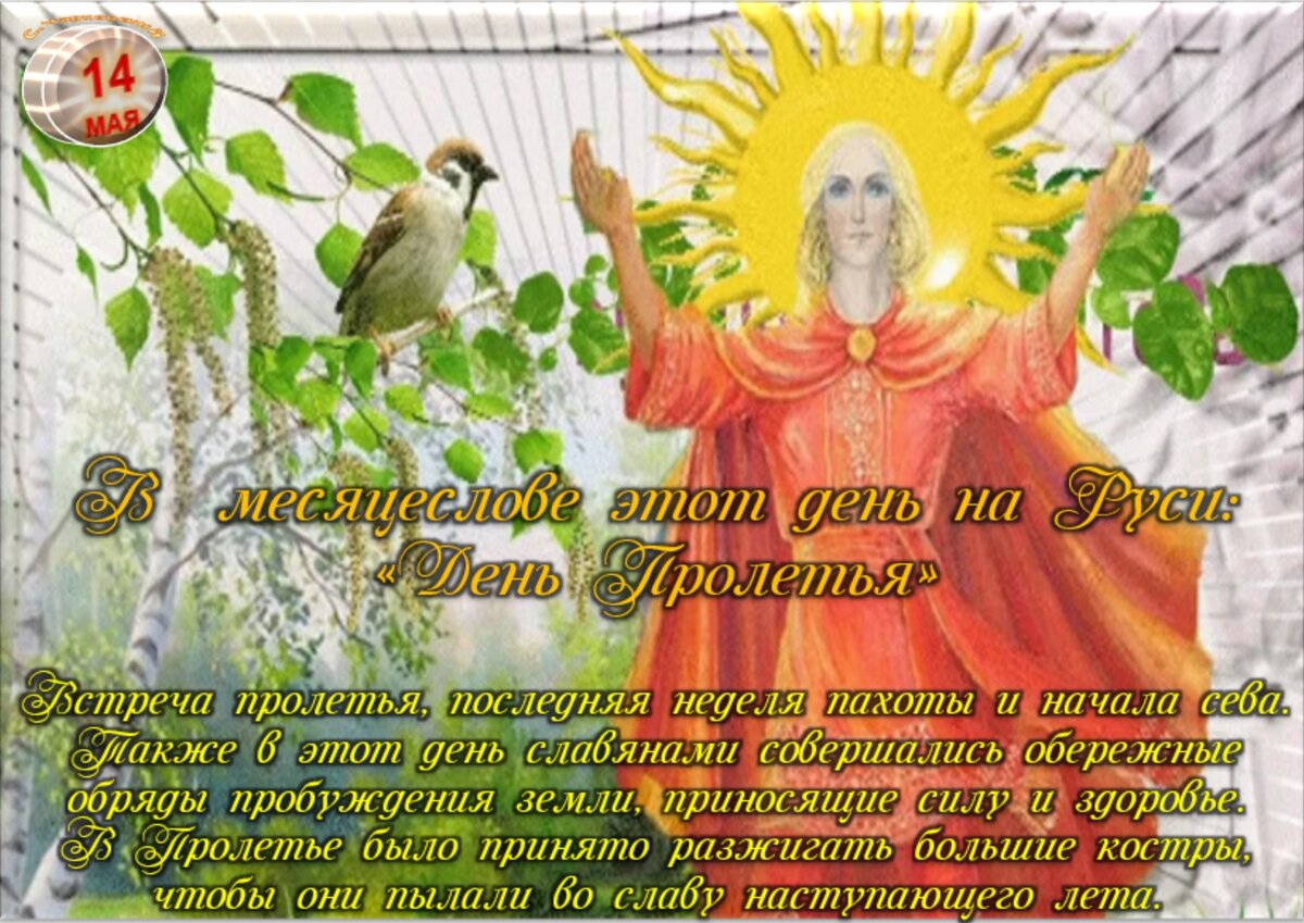 Встречаем новый день