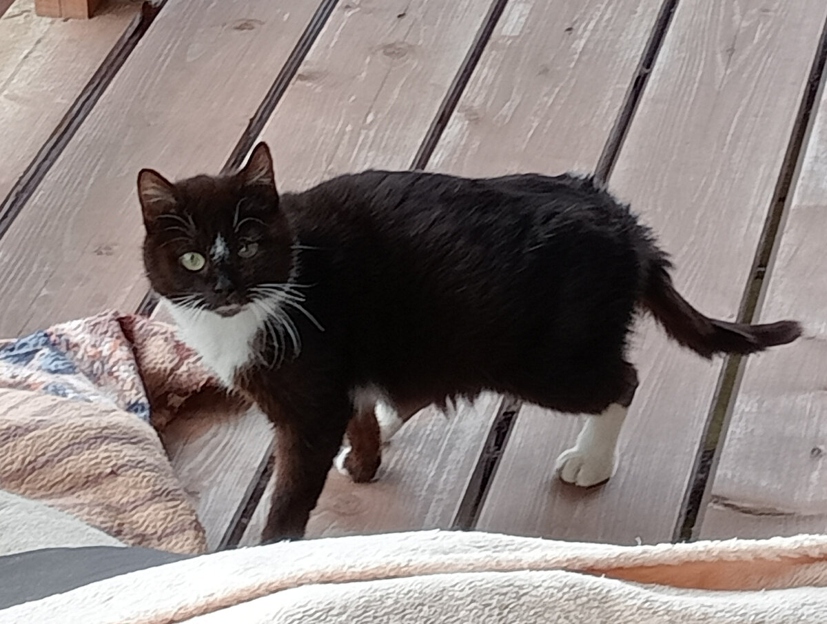 Белоуска. Фото из домашнего архива