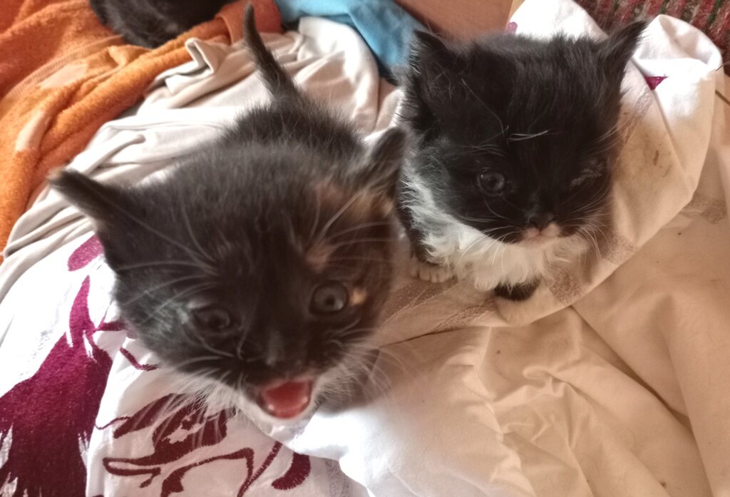 Фото из домашнего архива