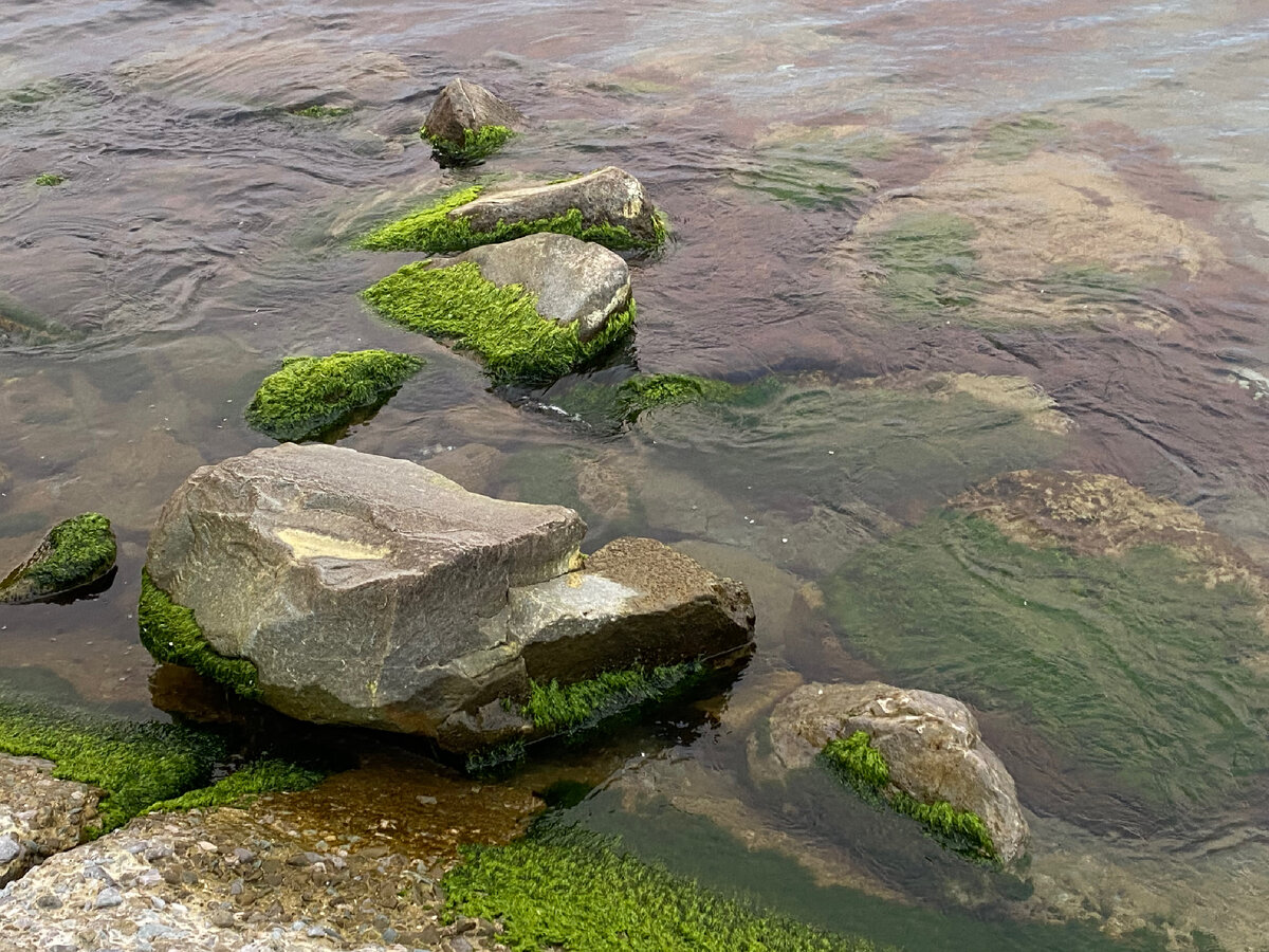 Время собирать камни… Алушта-24