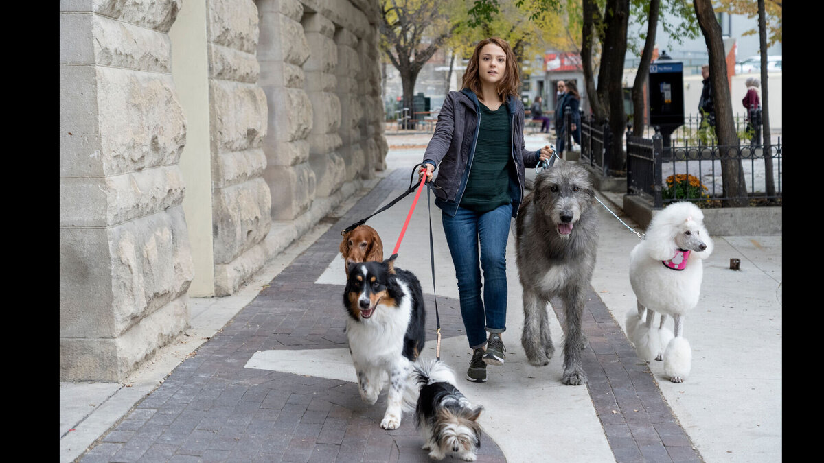 Кадр из фильма