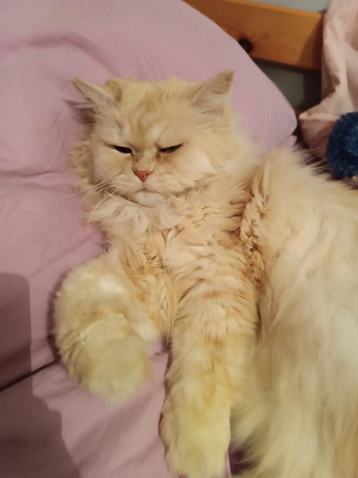 Вот не желал, поросёнок такой, анализы сдавать))