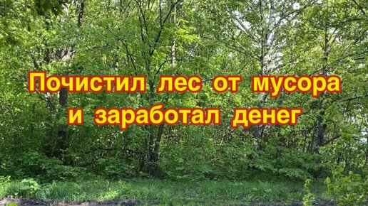 Почистил лес и окрестности от мусора и заработал на этом деньги. Какие находки мне удалось найти