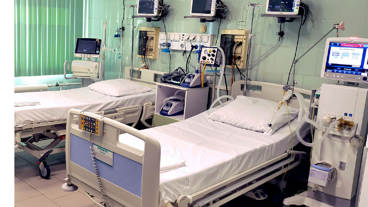 Фото из свободного доступа интернета Яндекс.картинки