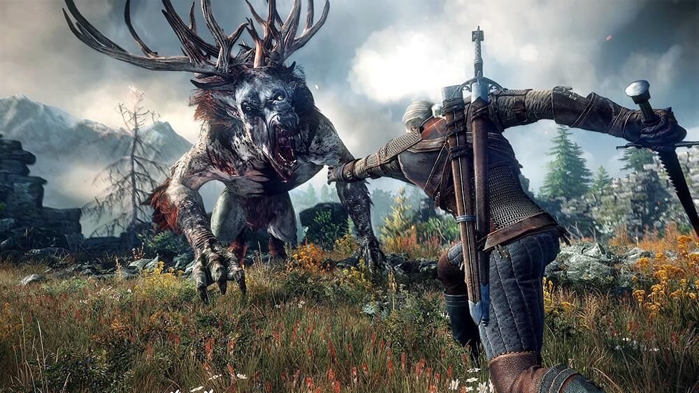 Фото: кадр из геймплея The Witcher 3