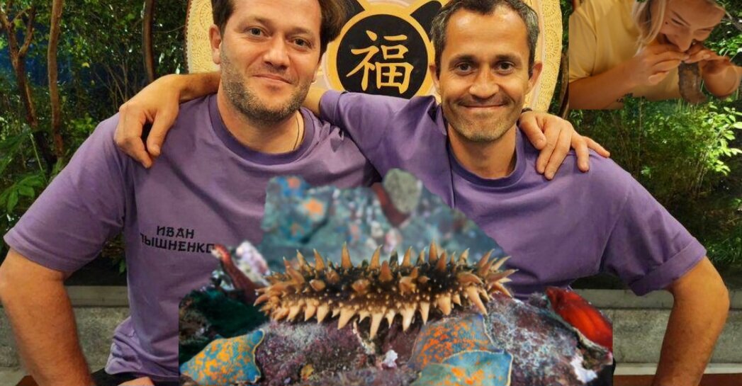 коллаж автора канала