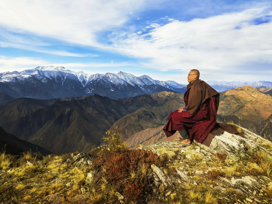 Яндекс картинки