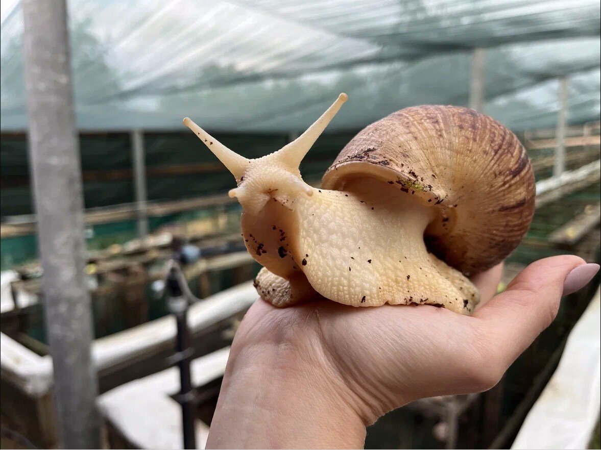 Изучать повадки питомцев пришлось долго. Но и результат получился достойный. Фото: static.probusiness.io