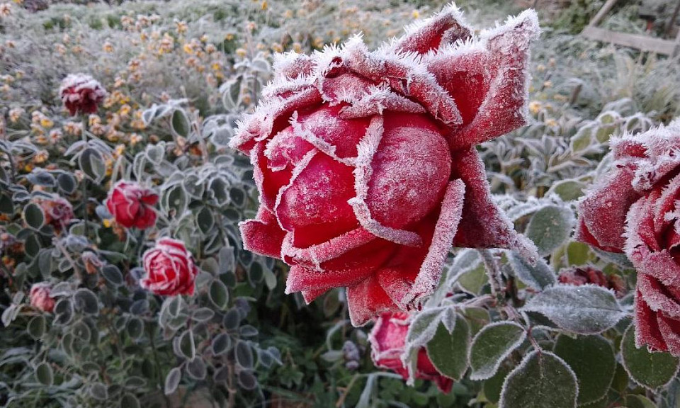 Фото: Горсайт