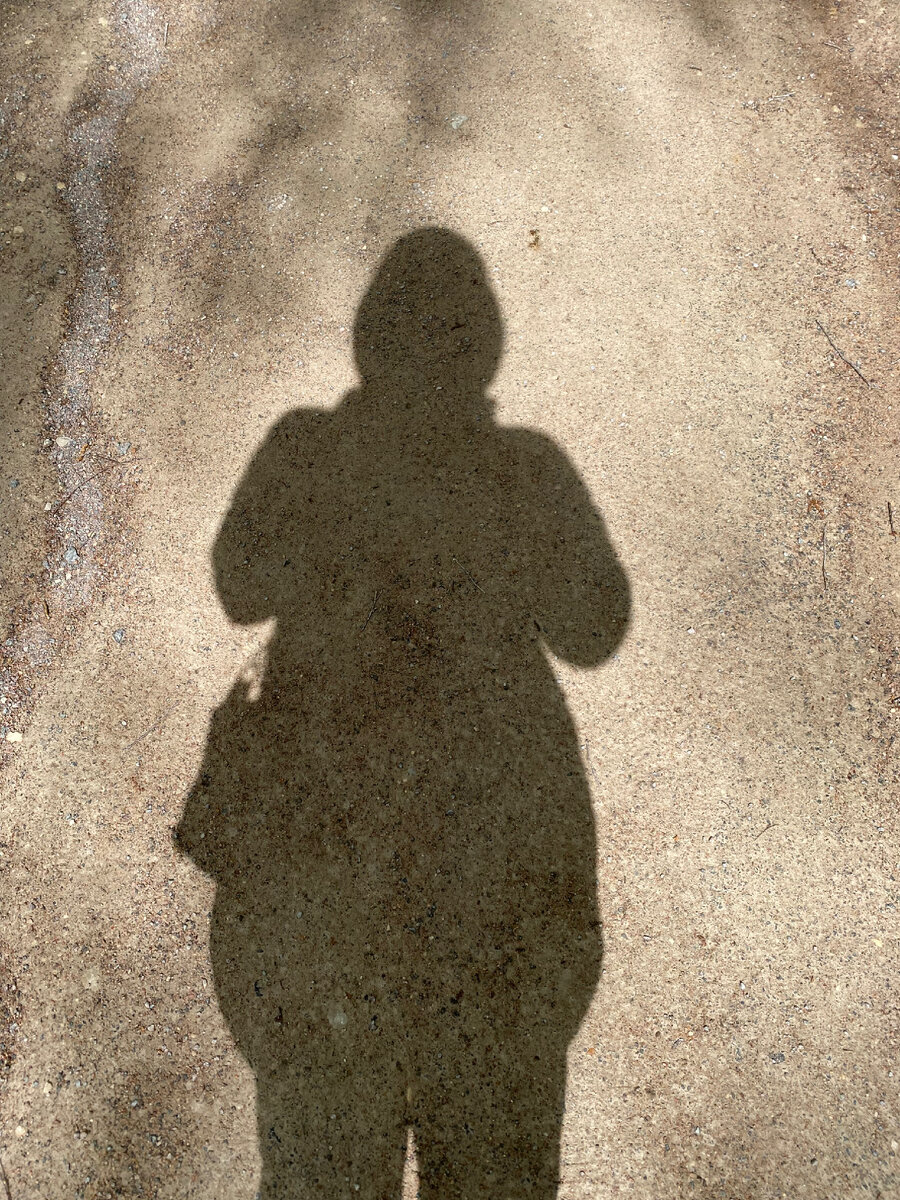 Тень есть- значит живу