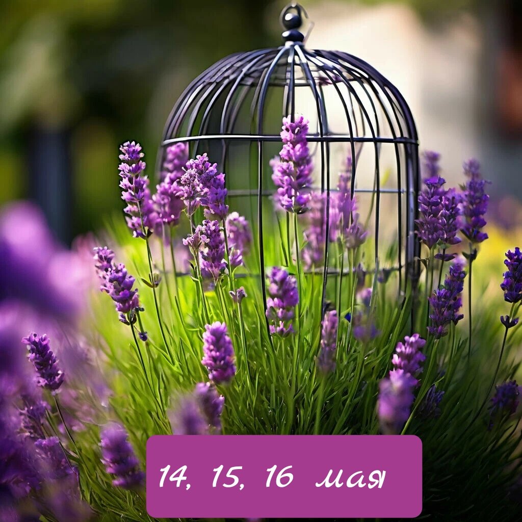 Фотоколлаж  канала Таро Портал ( +ИИ)