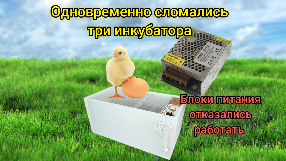 Фото к статье