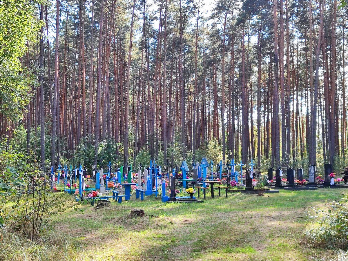 "Лучше нет в мире кладбища!".   Родовое кладбище пос. Новый Мир -"хвойник".
