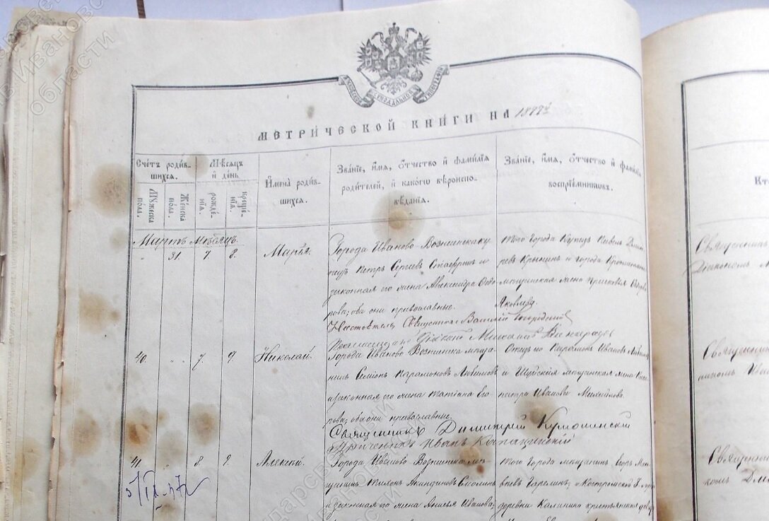 Метрическая книга