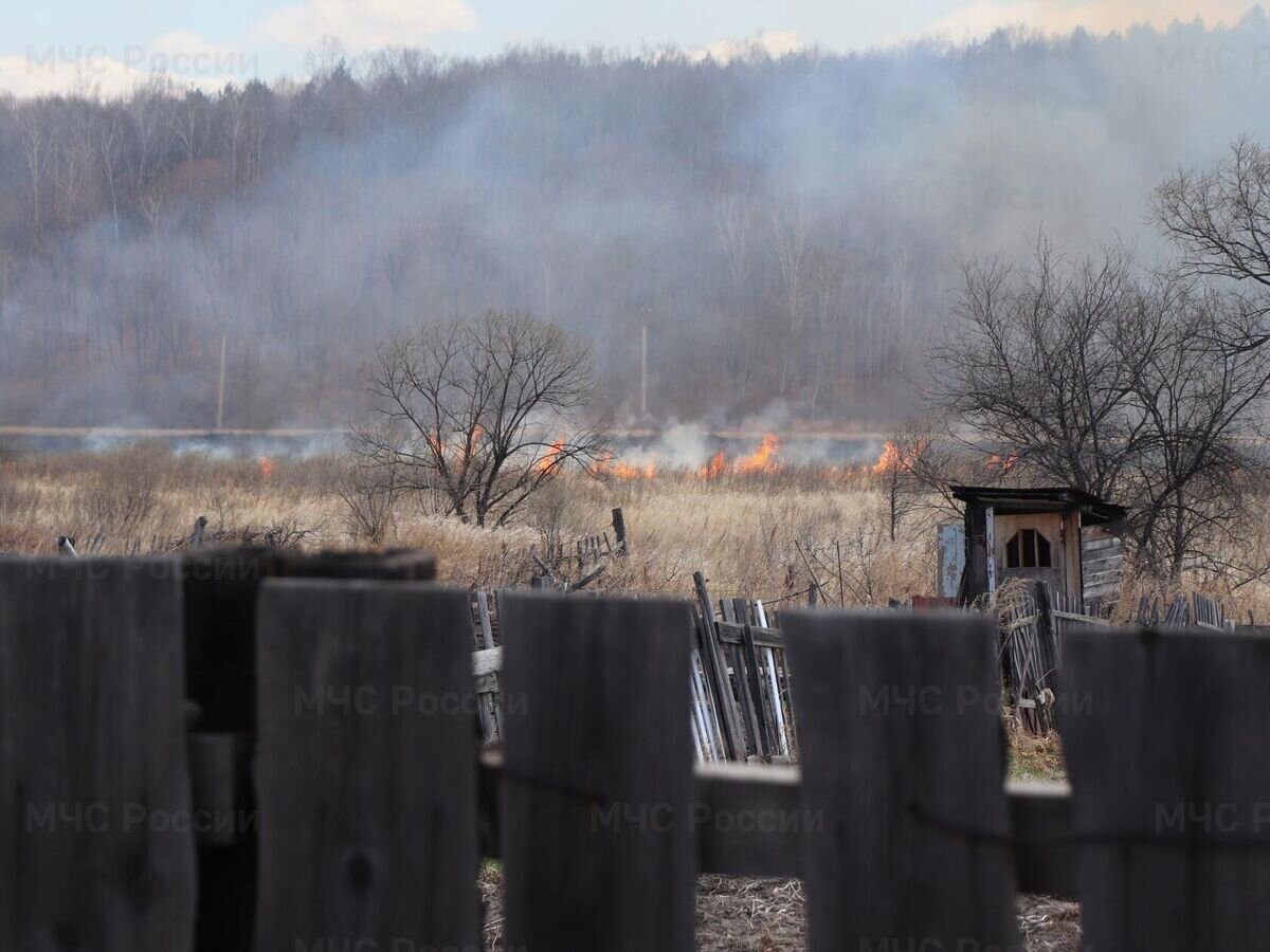    Природный пожар в Амурской области© Фото : ГУ МЧС России по Амурской области