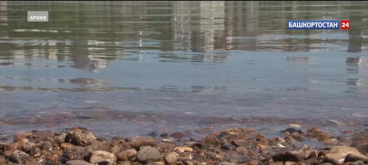    В водоем в Башкирии выпустили больше тонны мальков