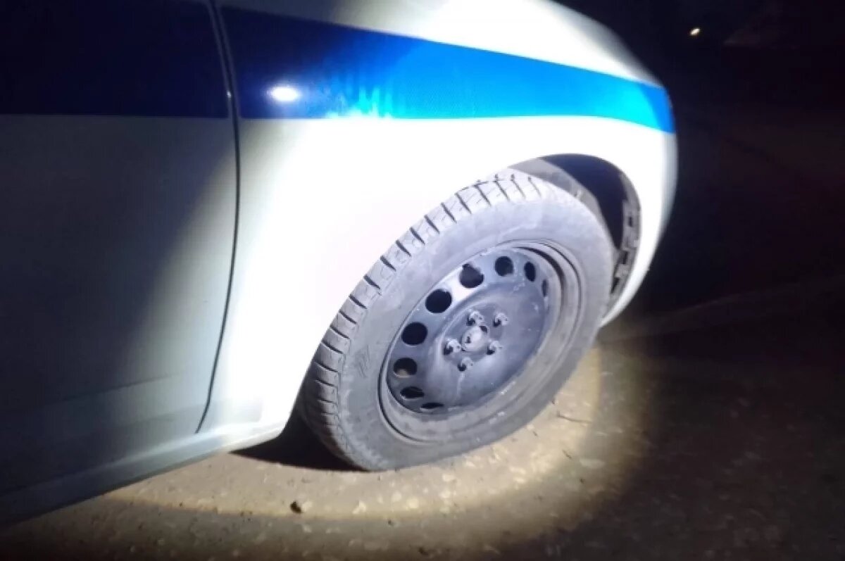    Мужчина выстрелом зацепил служебный автомобиль, в котором находились полицейские и пьяный водитель мотоблока.