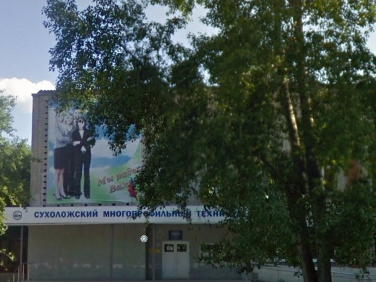     Сухоложский многопрофильный техникум / фото: google.ru/maps