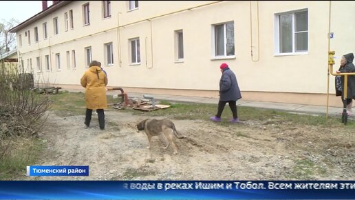 Жильцам двухэтажки в тюменском поселке предлагают самим заменить общедомовый септик