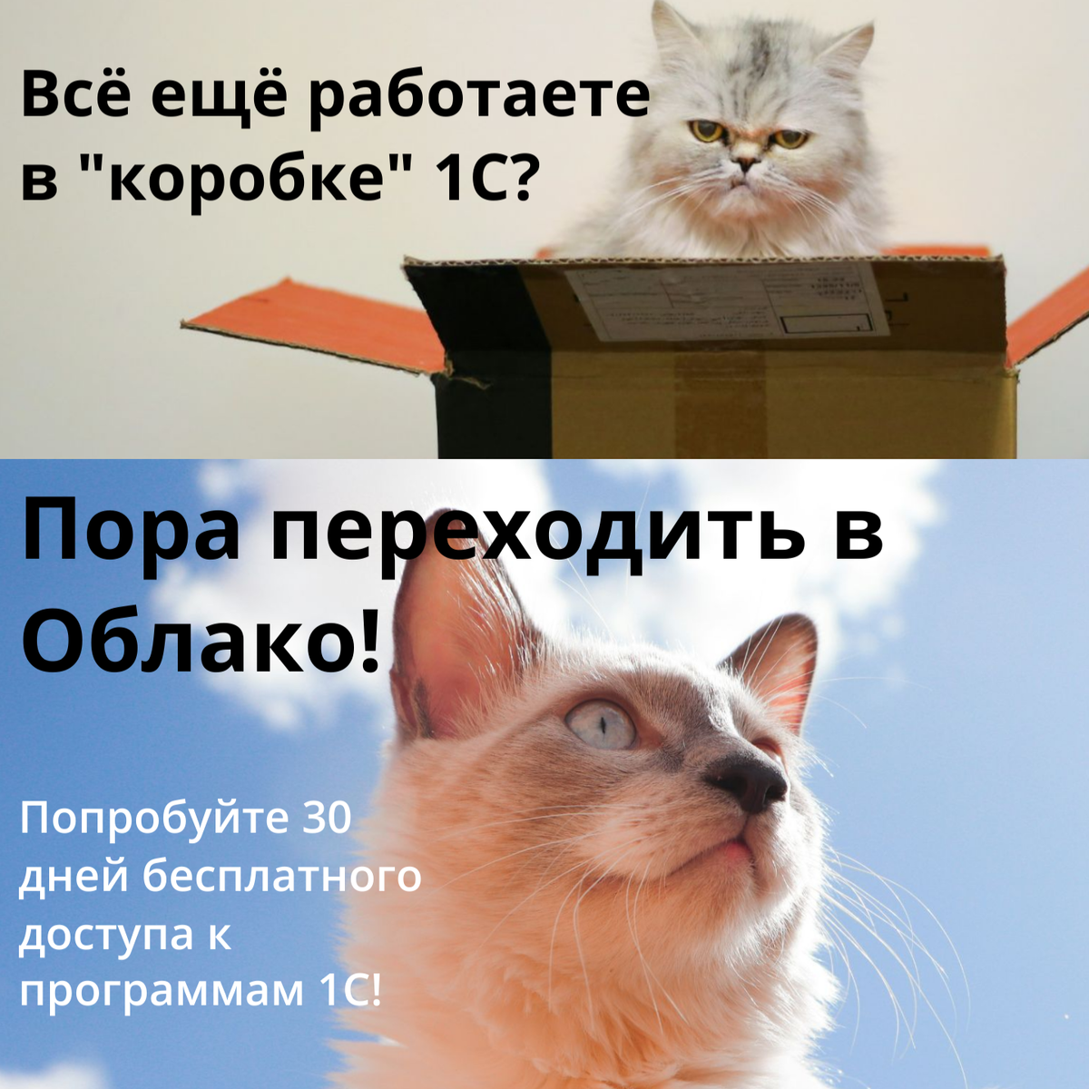 1С:Фреш - работайте с программами 1С в облаке