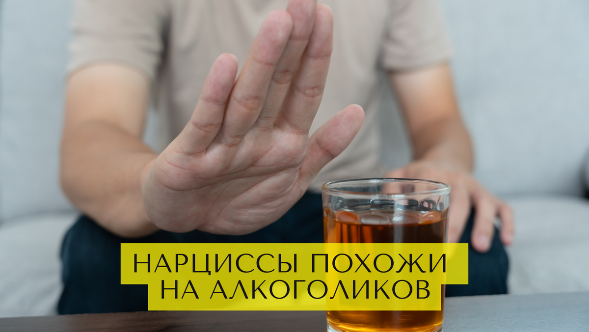 Нарциссы похожи на алкоголиков