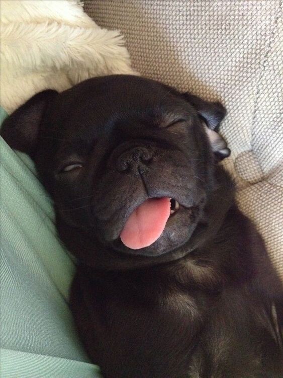 наше состояние)))