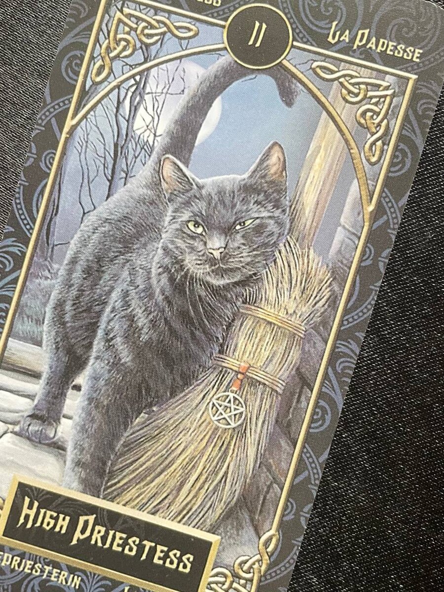 Верховная Жрица — Секретное знание или тайная мудрость. Мудрость, здравый смысл, изучение, спокойствие, объективность, предвидение, восприятие, бесчувственность, нетерпение, не состоящее в браке, слишком практичное, учитель. Таро Фамильяров.
