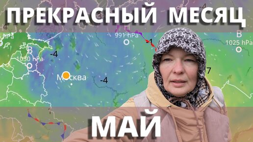 МАЙСКИЕ ЗАМОРОЗКИ В РОЗовом САДУ