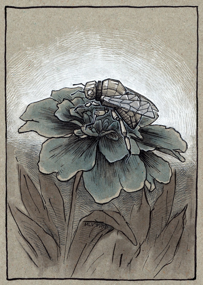 Иллюстрация Ulv vind