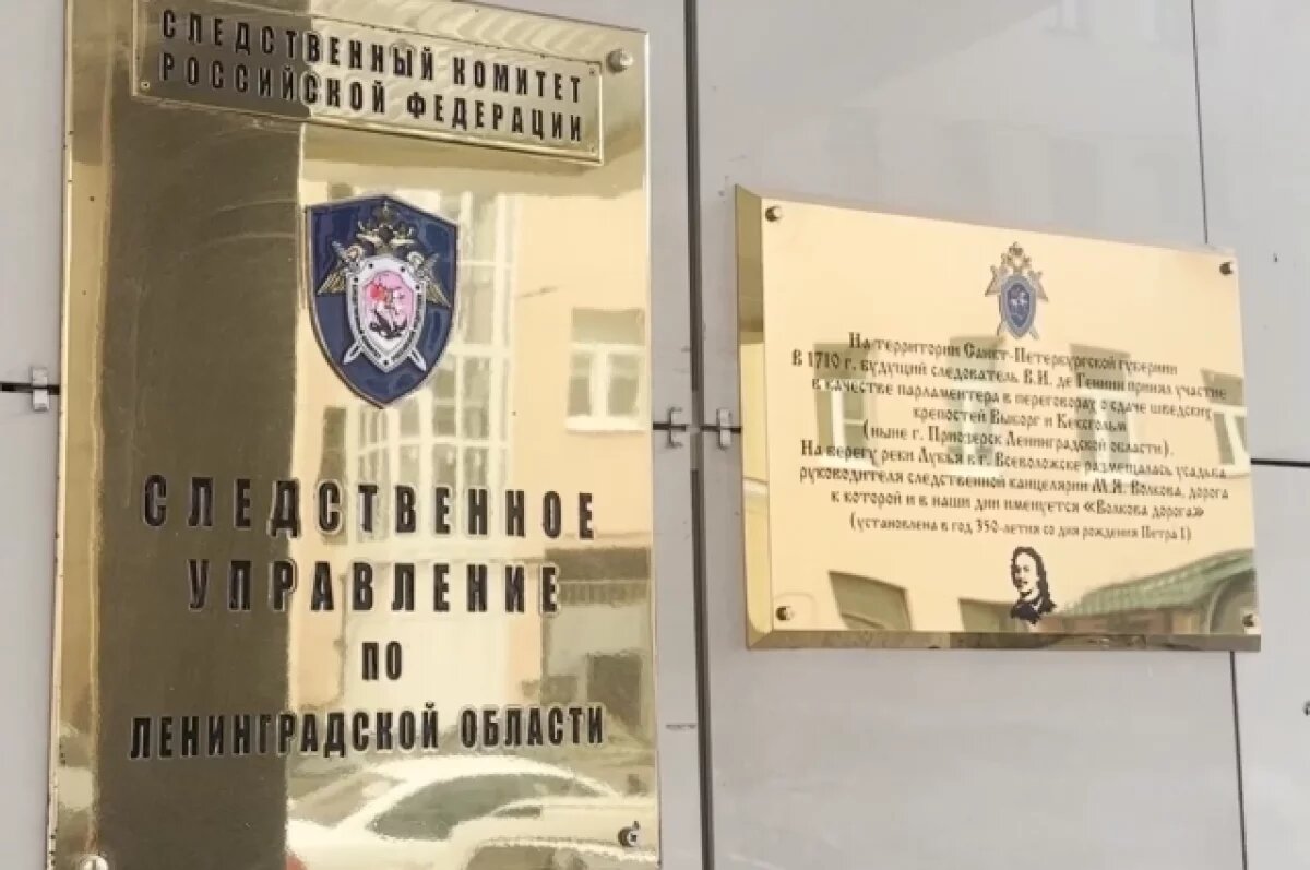    Захлебнувшись в канаве, в Ленобласти погибла полуторагодовалая малышка