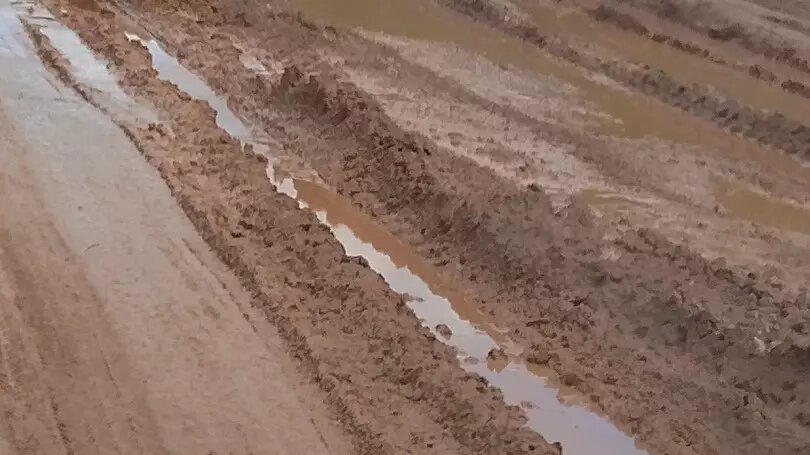     Автор: Галина Пудова